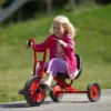 Winther Viking Tricart Tricycle