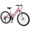 Schwinn Girls' Ranger 24" Mountain Bike
