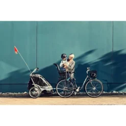 Thule Ridealong Bike Seat - Light Gray