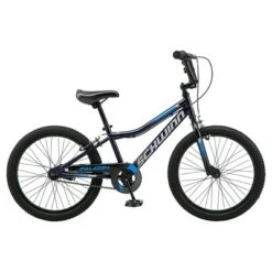 Schwinn Falcon 20" Kids' Bike